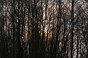 IMG_9493 (Resize)